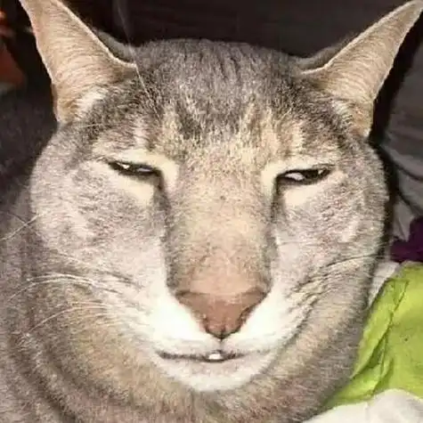 沙雕头像搞笑不像搞笑女的头像搞笑女头像像小猪佩奇搞笑配音头像沙雕