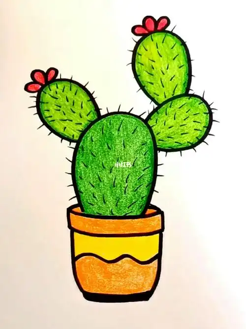 仙人掌简笔画来了