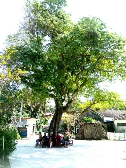 食游文昌,带你探寻海南最美民居(上)