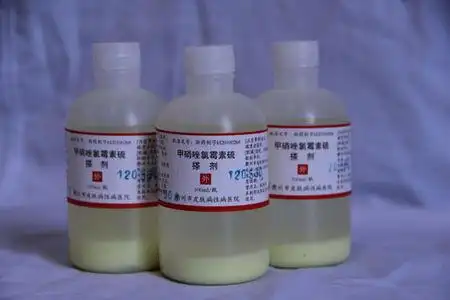 氯霉素搽剂的介绍