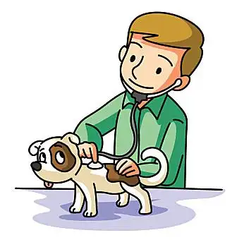 矢量,插画职业,兽医,插画职业,卡,不同兽医,宠物,健康,卡,象征,卡通