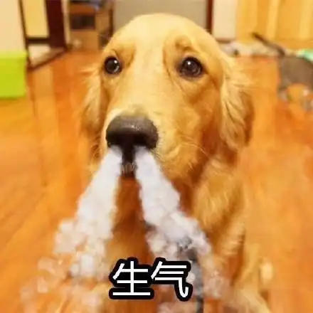 气到离家出走了表情包 - 气到离家出走了微信表情包 - 气到离家出走了