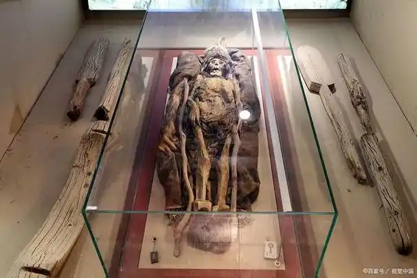 731部队:揭秘日本帝国最血腥的罪行,实验背后的残忍真相!