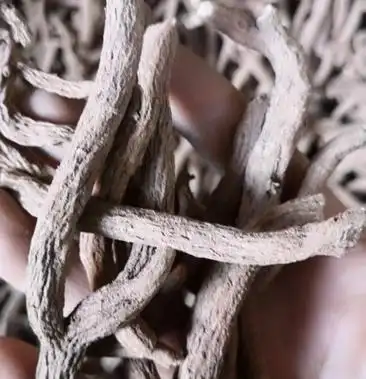 [紫金龙批发]云南野生中药材紫金龙价格38.90元/斤 - 一亩田