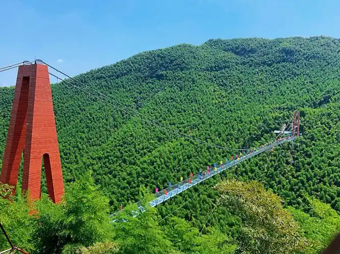 浙江安吉大竹海景区(20190813)