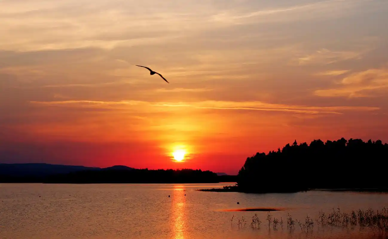 落霞与孤鹜齐飞,秋水共长天一色!