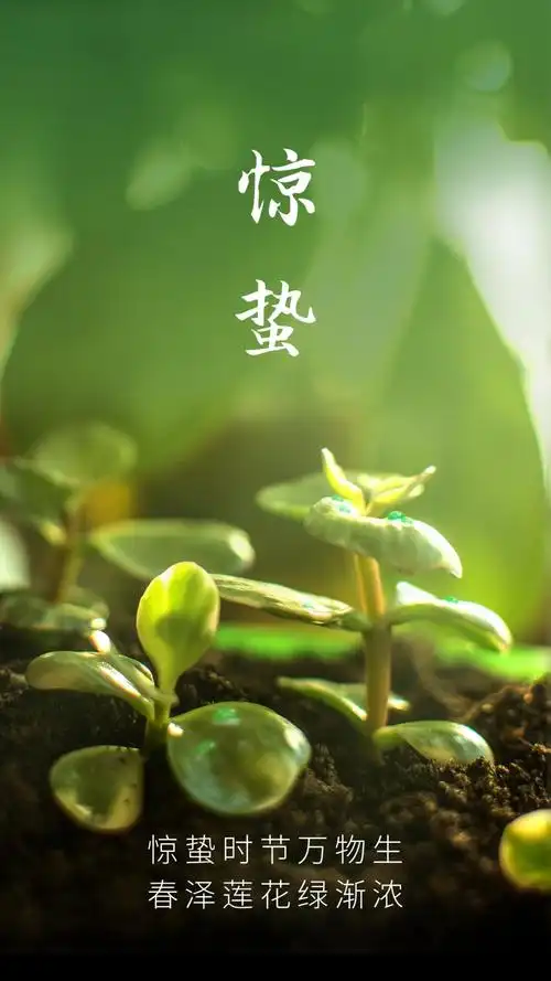 惊蛰时节万物生,高清图片 - ipad壁纸