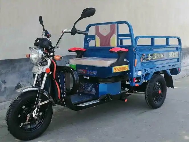 丰收牌fs2500dzh6电动正三轮摩托车
