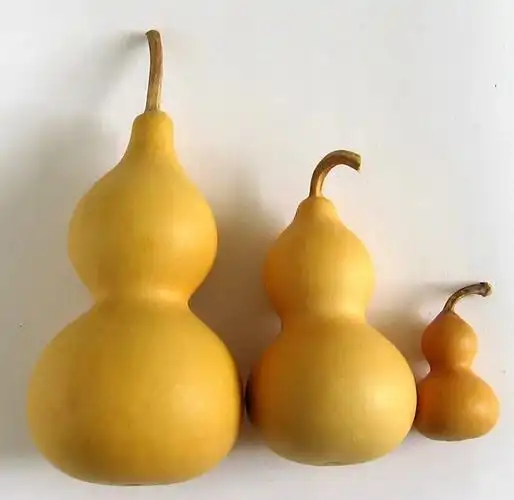 文玩葫芦该如何盘玩? - 知乎