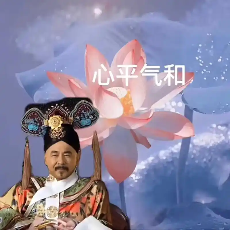 四郎头像不能孤芳自赏!#甄嬛传 #四郎 - 抖音