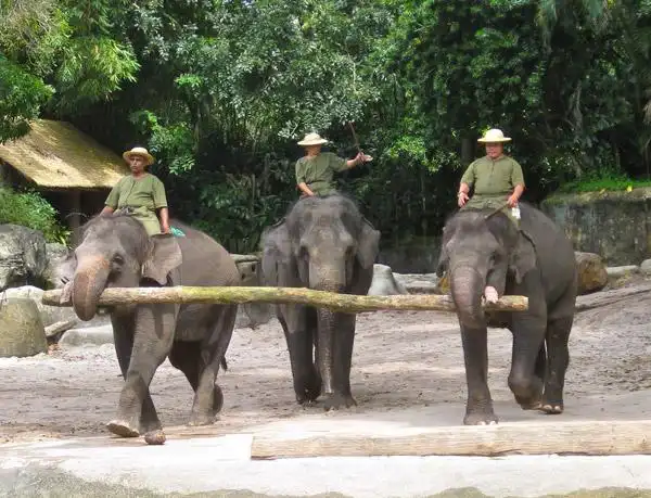 开怀一笑:女儿不声不响的回过头,从抽屉里拿出胶带,对她爸爸说