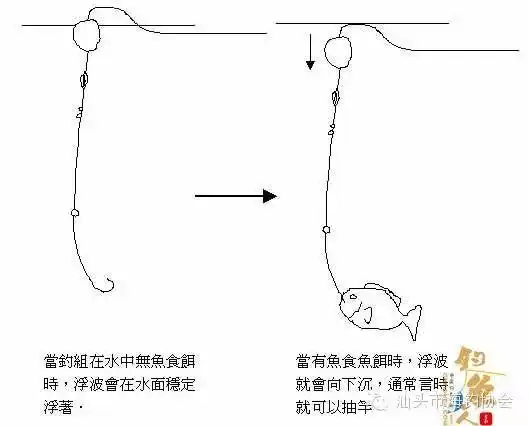 在什麽情况下使用00号浮波00号浮波是在无法知道鱼的所在鱼层时拭用