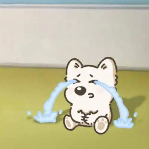 头像丨可爱笨蛋帽帽狗头像