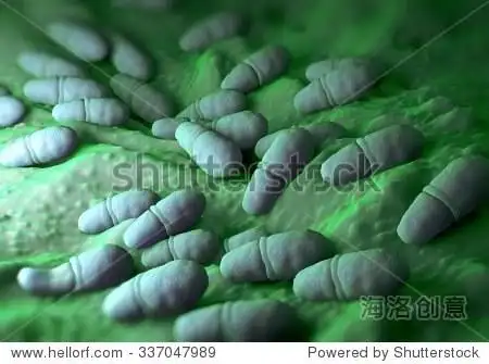 脚气真菌.这种真菌会导致条件称为脚气