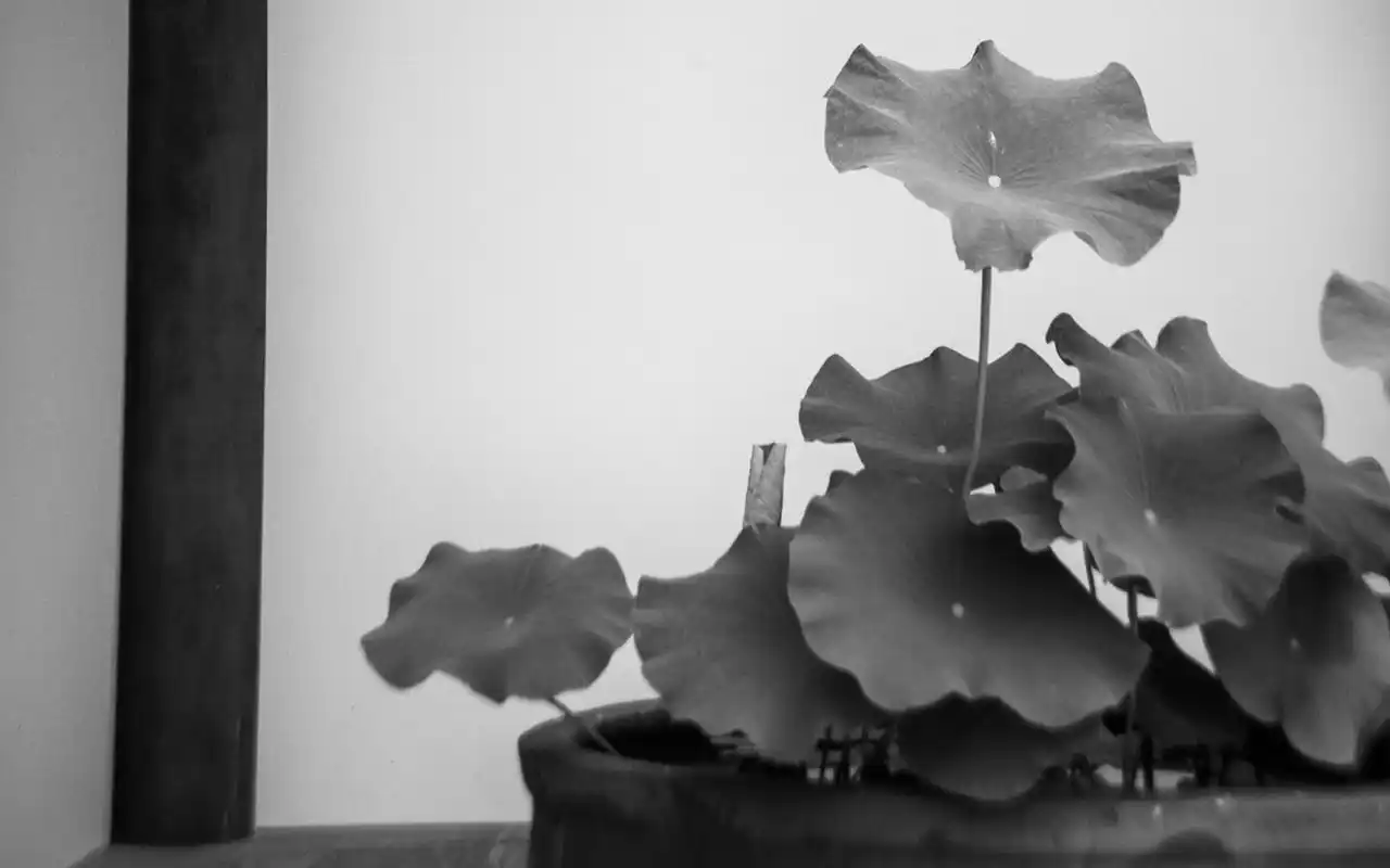 黑白古风园林唯美高清桌面壁纸