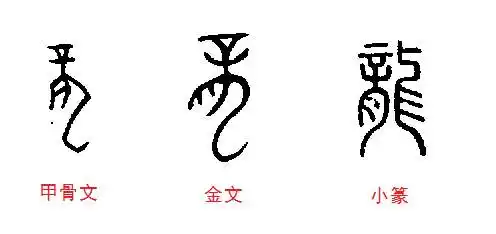 从龙的甲骨文来看,它应该是一种尾巴很长的爬行动物吧