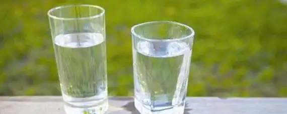 300毫升水有多大一杯