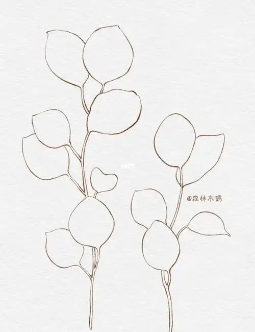 小练习不一样的尤加利叶子