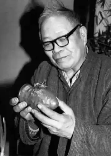 实战演练如何看穿一把蒙人的老葫芦