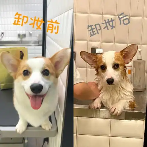 卸妆后这冤种的表情