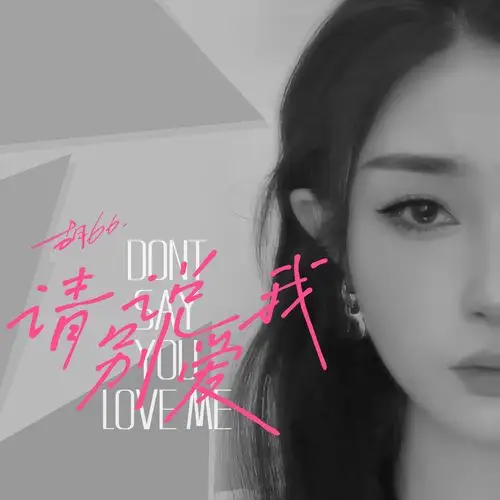 请别说爱我_胡66_高音质在线试听_请别说爱我歌词|歌曲下载_酷狗音乐