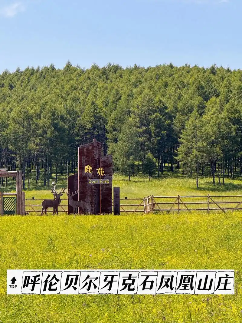 呼伦贝尔牙克石凤凰山庄游玩攻略.🎉不同季节玩法