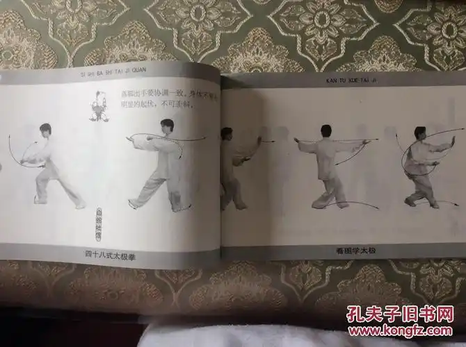 看图学太极:48式太极拳