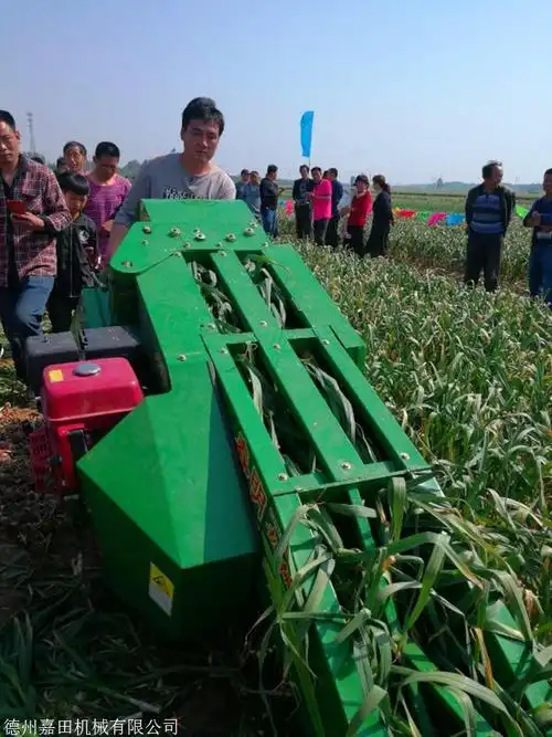 全自动大蒜切胡机汽油动力大蒜收割机种植大蒜不伤蒜切根切茎机