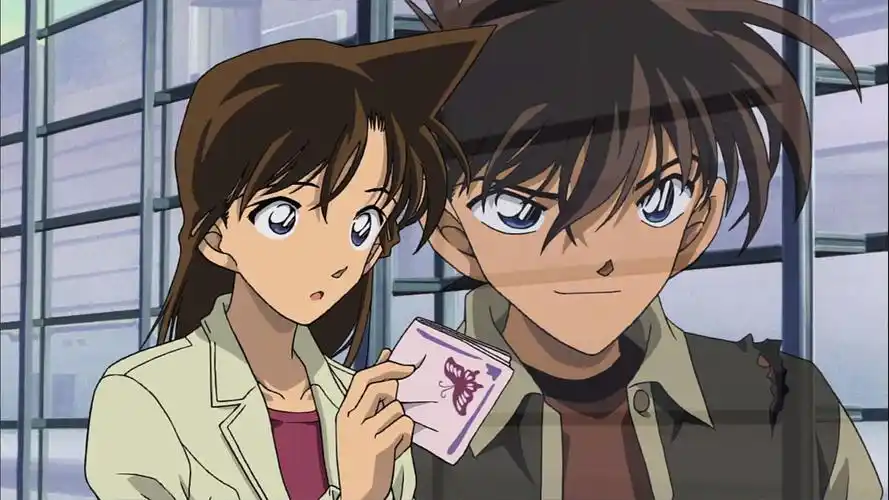 新兰篇樱花班的回忆