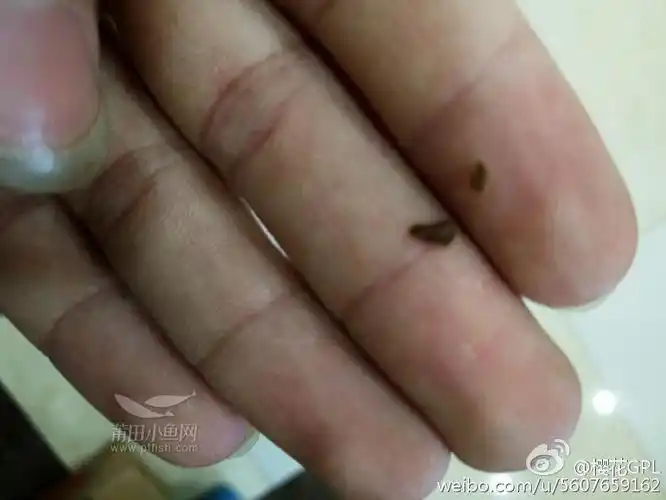 喝可乐喝出蟑螂屎中大奖啊