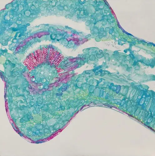 《微观世界》一_天津美术学院2013毕业展_雅昌毕业展