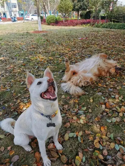 08初七和她的小伙伴儿