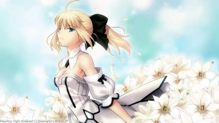 saber阿尔托利亚《命运/冠位指定fgo》高清游戏壁纸