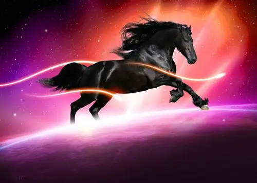 培训界的黑马 保险界的黑马-全球五金网