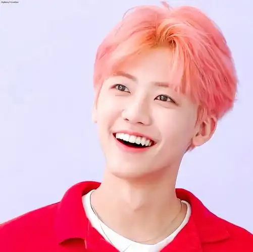 罗渽民nana头像专属楼