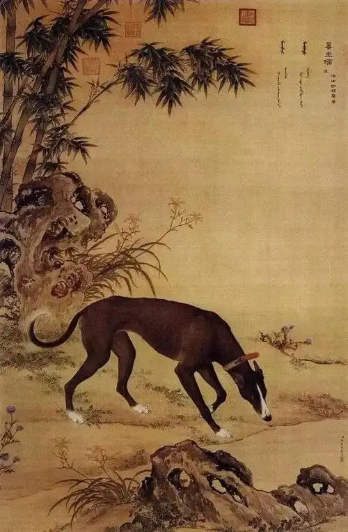 郎世宁的《十犬图》