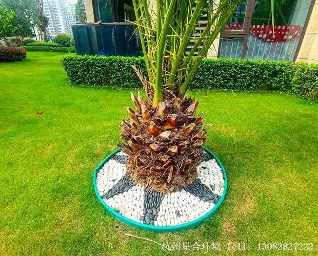 小品花境工程鹅卵石树圈