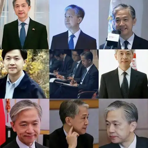 汪文斌  #人间理想汪文斌  #外交天团汪文斌