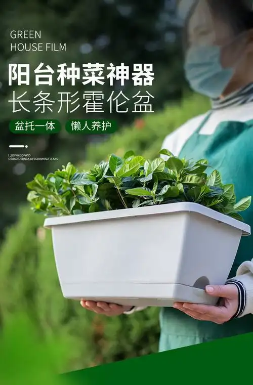 霍伦种菜花盆塑料种菜盆阳台种菜神器室内特大蔬菜长方形花盆特价