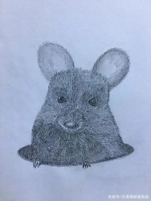 用铅笔来画一只大耳朵老鼠,你也可以画