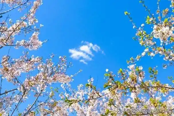 一个人越来越顺的原因|快乐|好心情|负面情绪_网易订阅