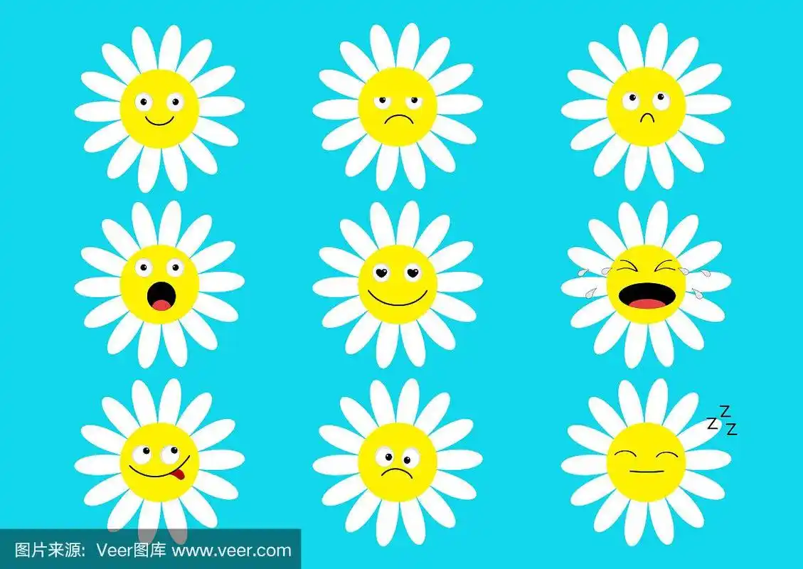白色雏菊,洋甘菊图标表情集搞笑