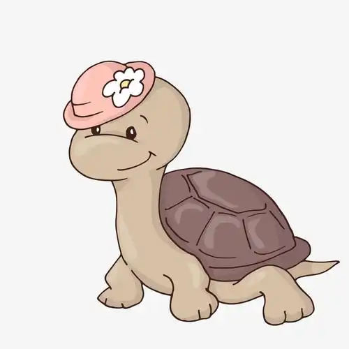 灰色带着帽子的卡通乌龟