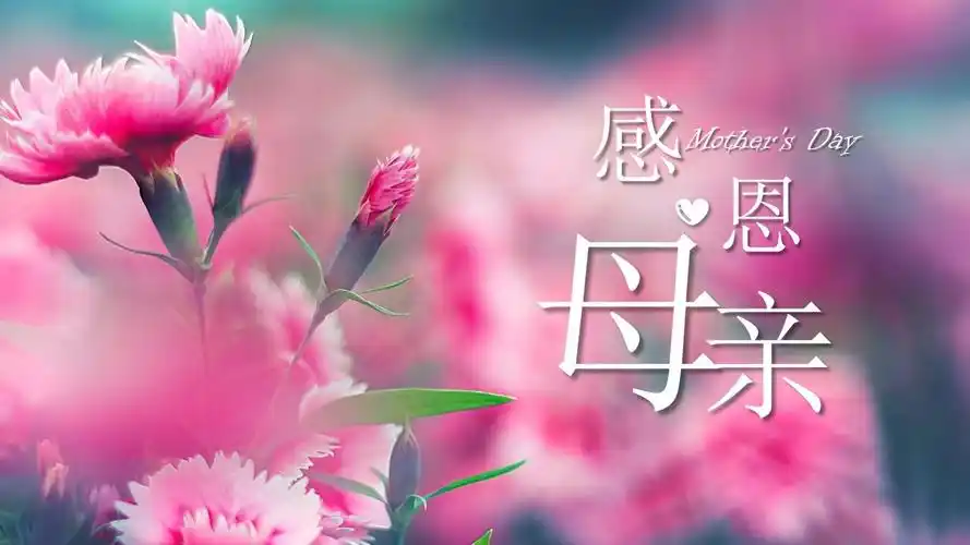 感恩父母母亲节节日庆典活动相册ppt案例