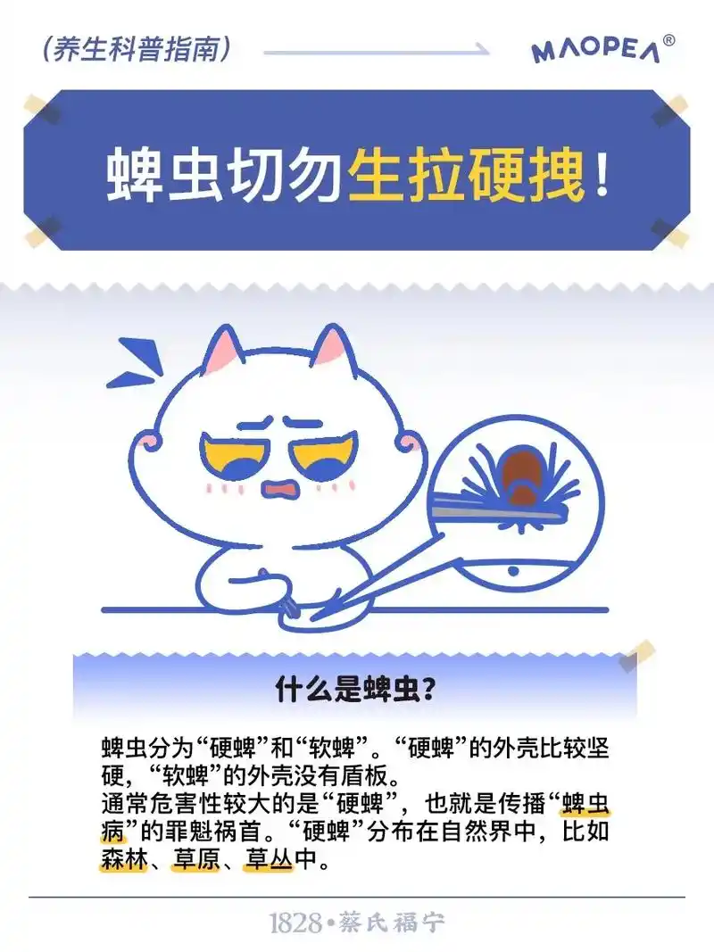 7215如何预防蜱虫叮咬? 1 - 抖音