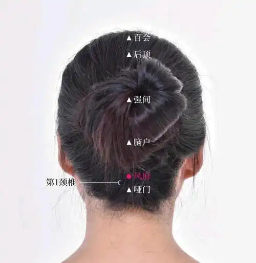 《说文·木部》:"枕,卧所薦首者."即睡卧时举荐于头之物谓枕.