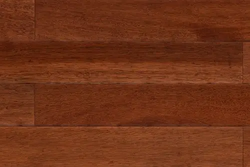 sd-fbg9242 番龙眼