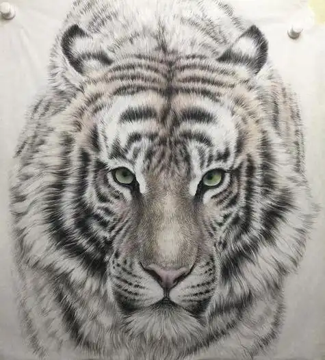 老虎工笔画图片老虎工笔画图片大全