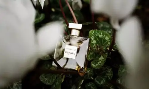 深夜发媸首次揭秘!10个高转化文案的套路_百科ta说