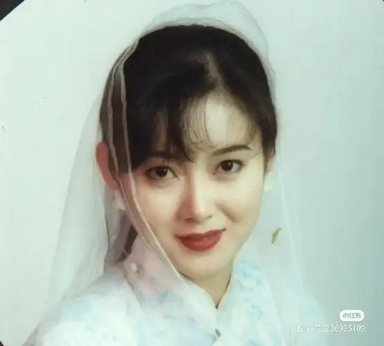 红楼梦邢岫烟扮演者李伊好美呀,美女都叫红红